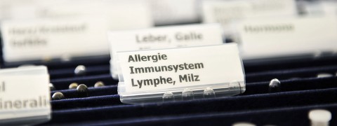 Allergietherapien in der Naturheilpraxis Christiane Thomaßen